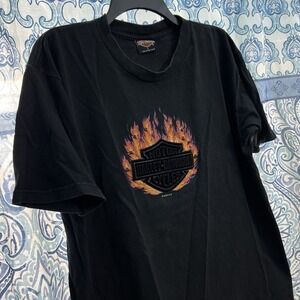 Vintage 2000 Harley Davidson 3D Flames Big Boar T Size L Massachusetts VTG